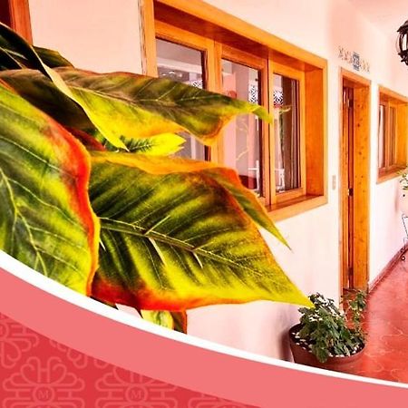 Hotel De Mariacentro San Cristóbal de Las Casas المظهر الخارجي الصورة