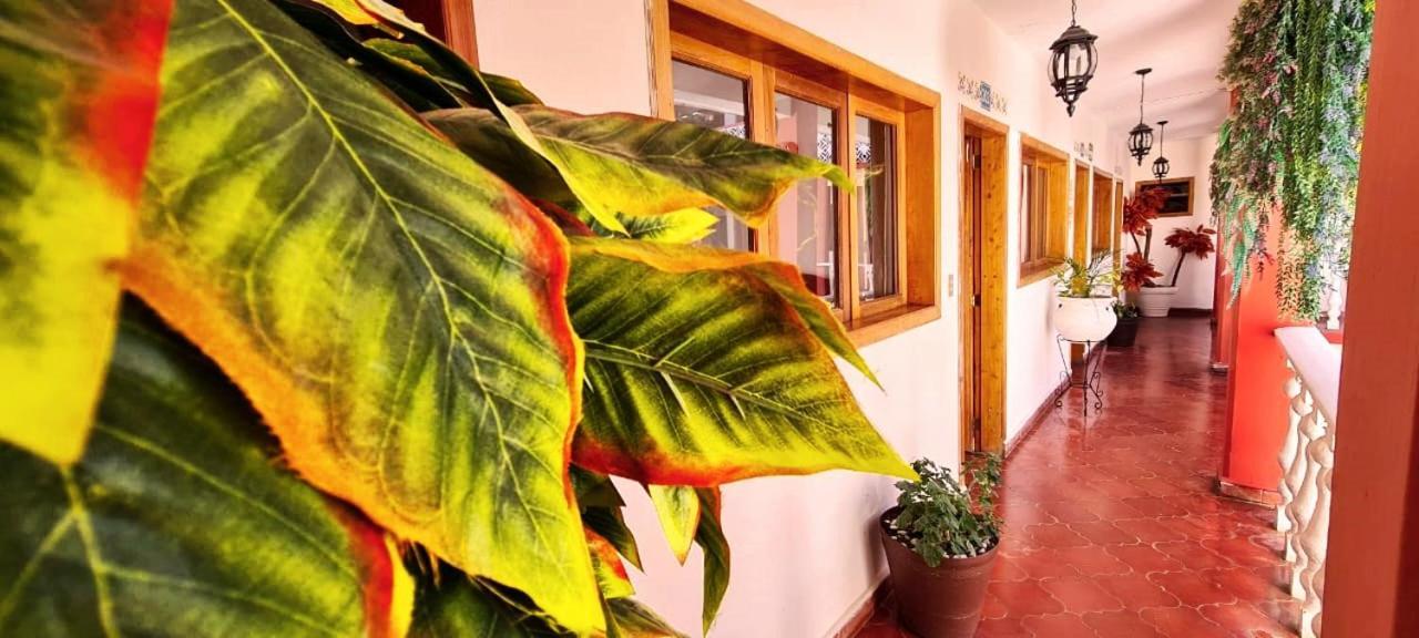 Hotel De Mariacentro San Cristóbal de Las Casas المظهر الخارجي الصورة